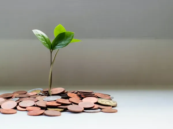 Professional tax advisor helping client with financial documents and tax preparation